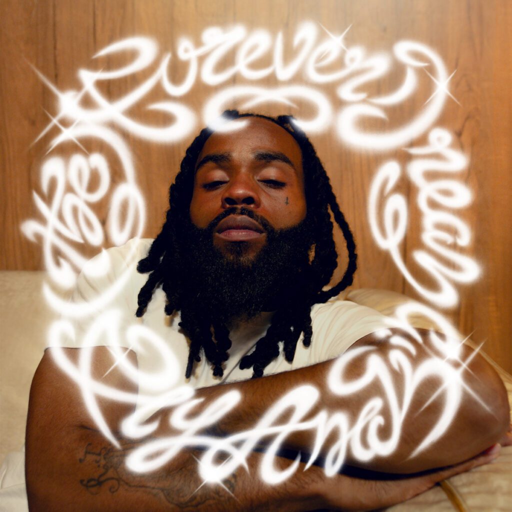 Fly Anakin - The Forever Dream